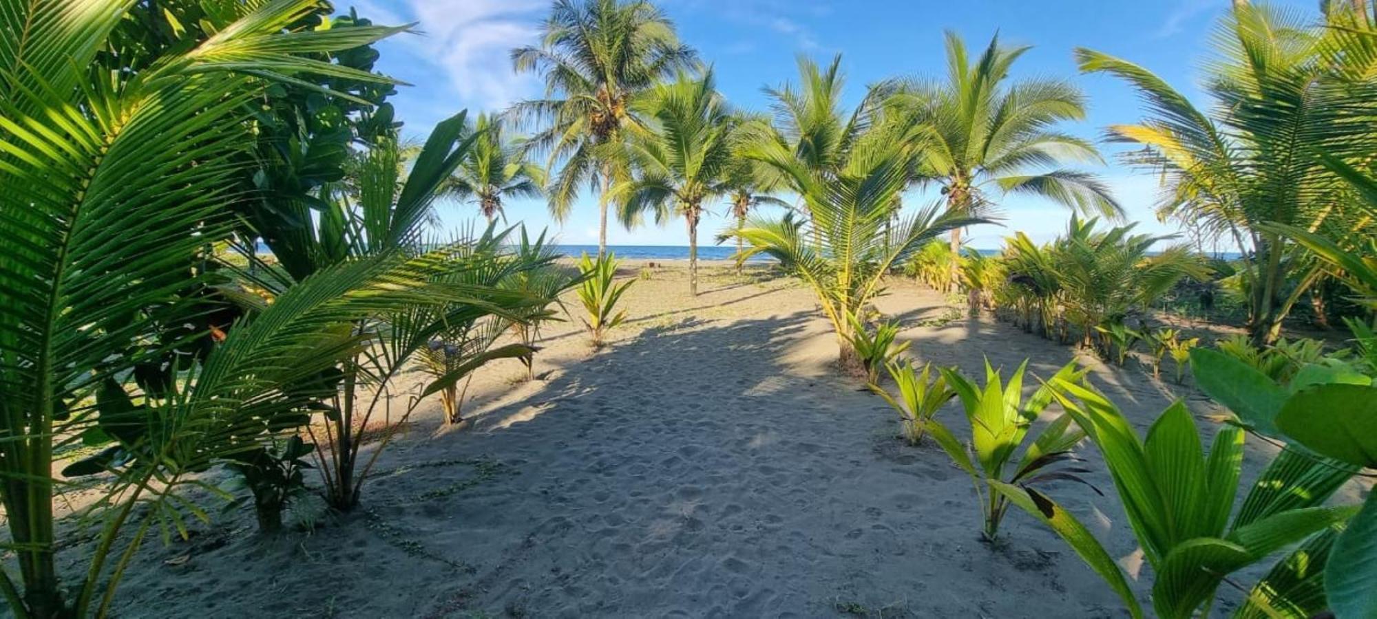 Hotel Playa Westfalia Puerto Limon Extérieur photo